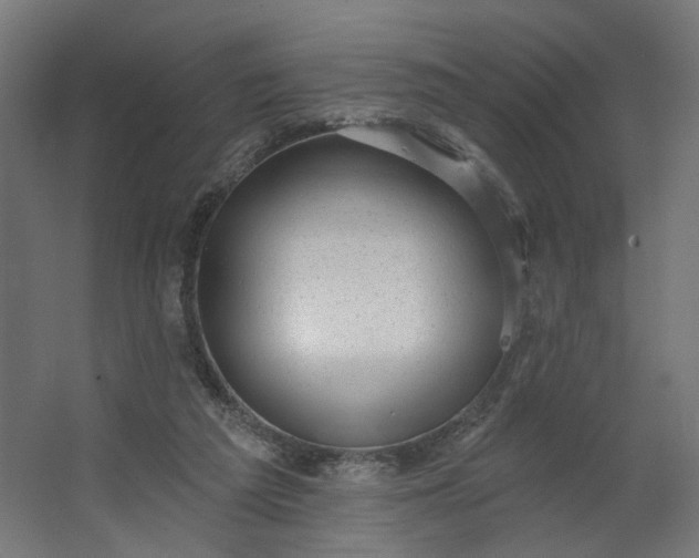 X0000062610209200601040948