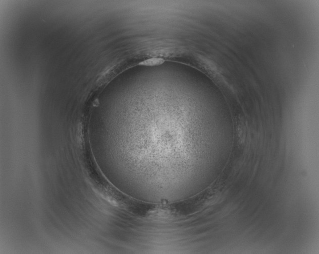 X0000062610211200601040948