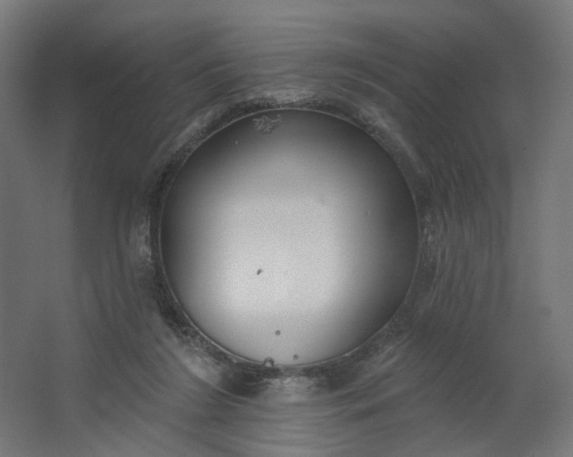 X0000062610212200601040948