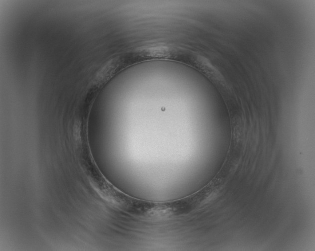 X0000062610213200601040948