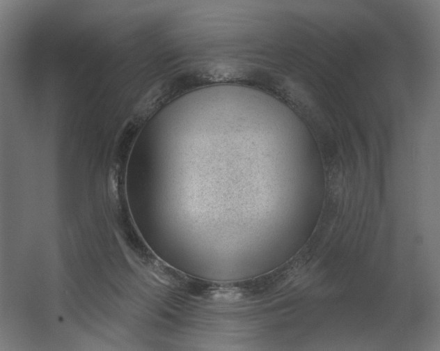 X0000062610214200601040948