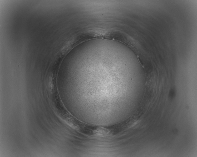 X0000062610215200601040948