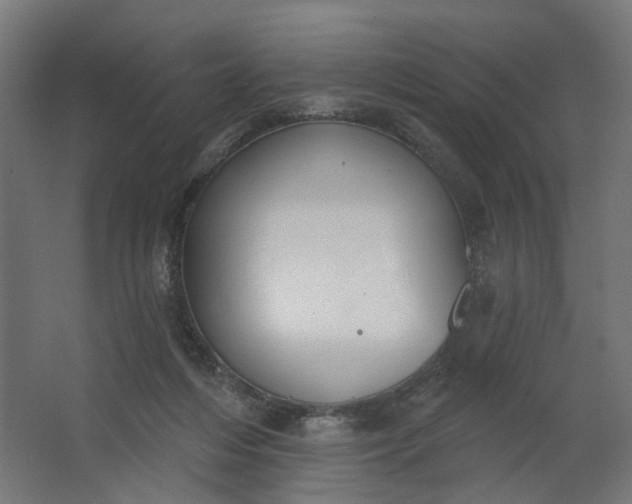 X0000062610216200601040948