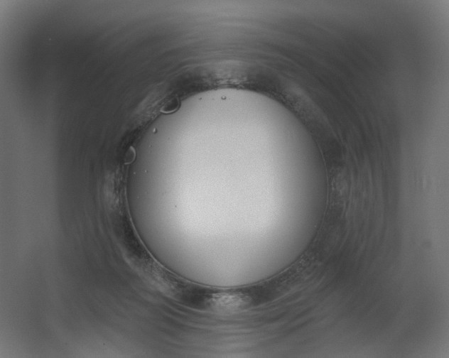 X0000062610218200601040948