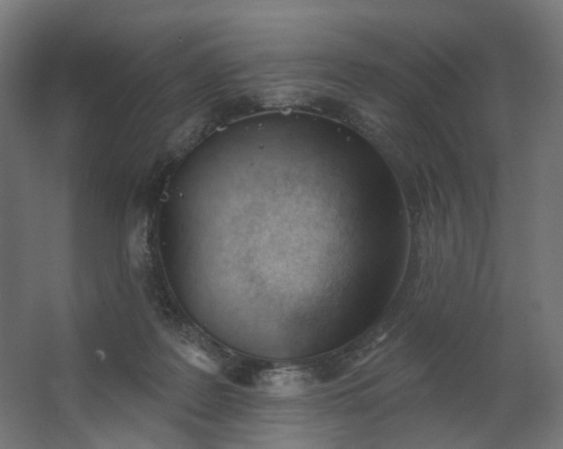 X0000062610219200601040948