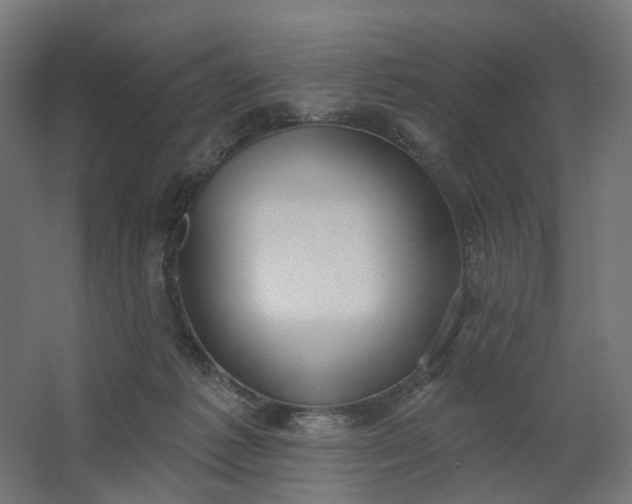 X0000062610221200601040948