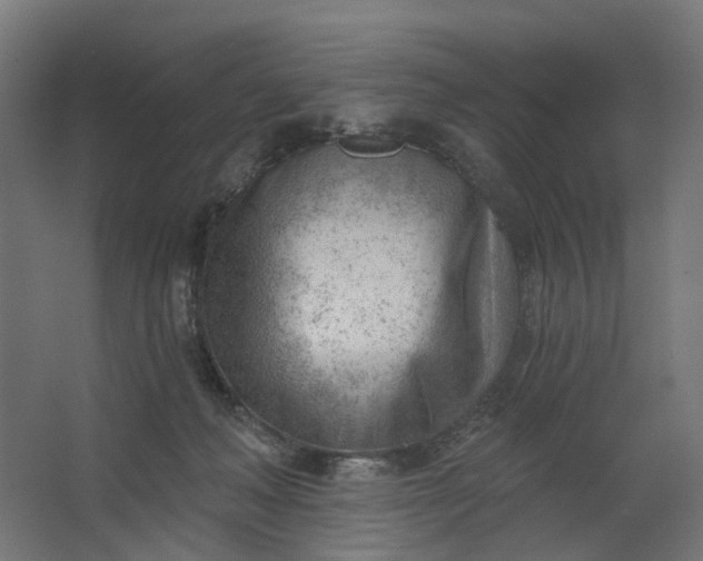 X0000062610222200601040948