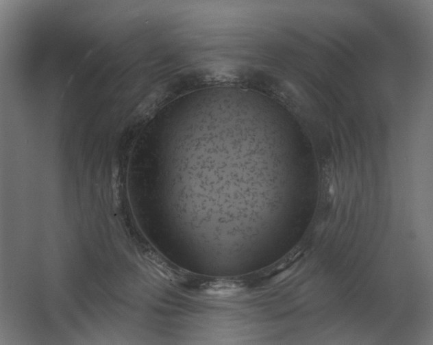 X0000062610223200601040948