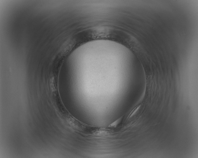 X0000062610224200601040947