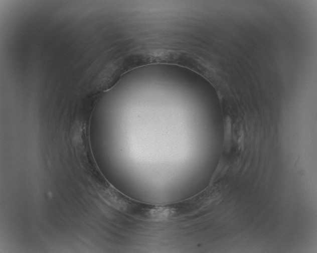 X0000062610225200601040947