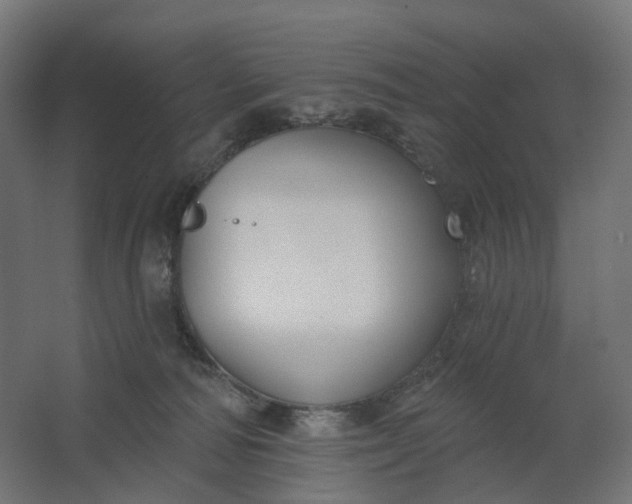 X0000062610226200601040947