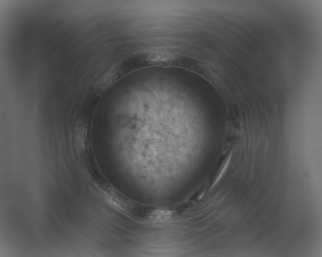 X0000062610227200601040947