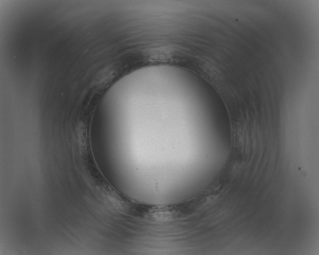 X0000062610228200601040947