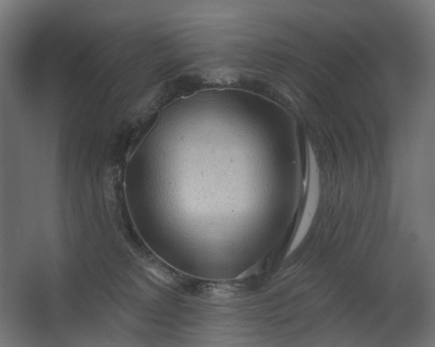 X0000062610229200601040947