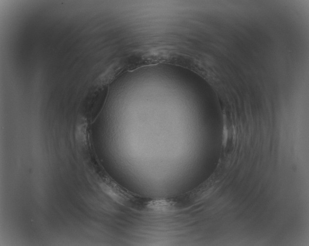 X0000062610231200601040947