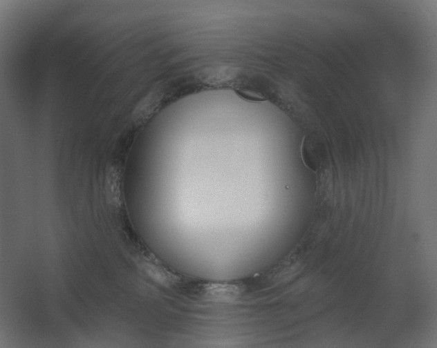 X0000062610234200601040947