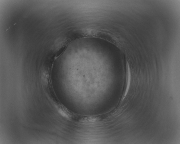 X0000062610235200601040947