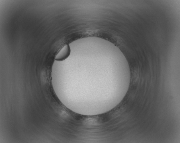 X0000062610236200601040947