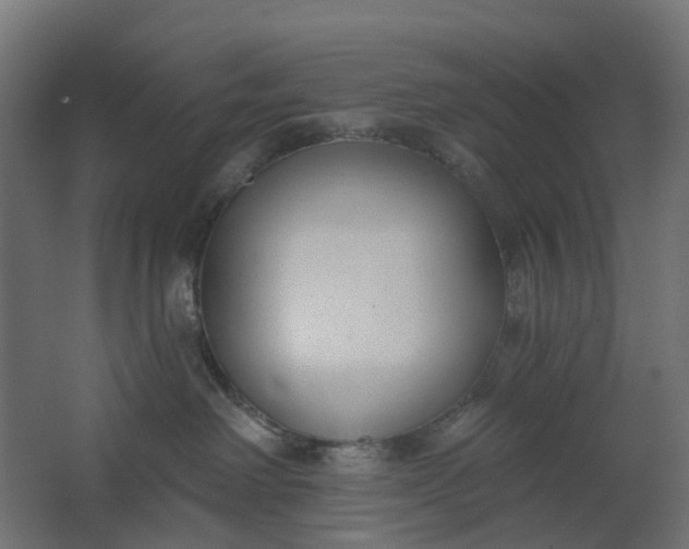 X0000062610238200601040947