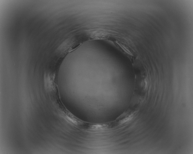 X0000062610239200601040947