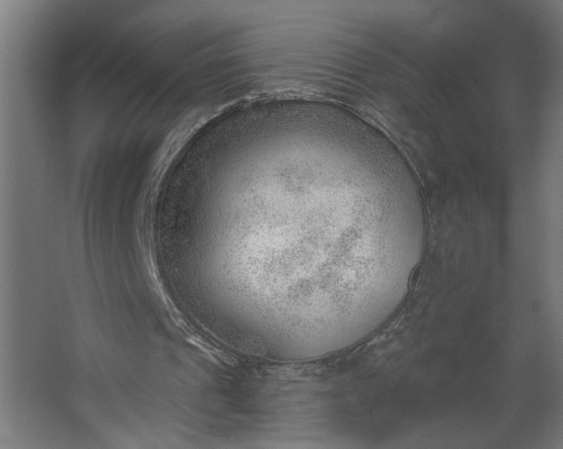 X0000062610241200601040946