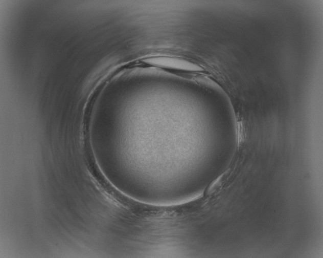 X0000062610243200601040946