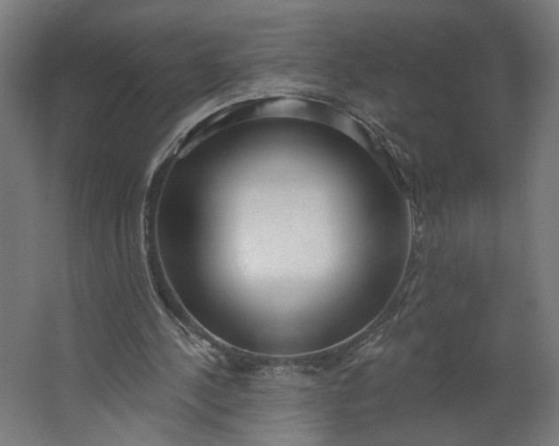 X0000062610244200601040946