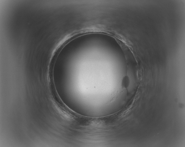 X0000062610248200601040947