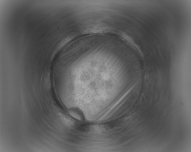 X0000062610250200601040947