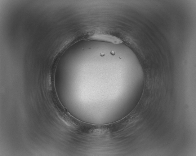 X0000062610251200601040947