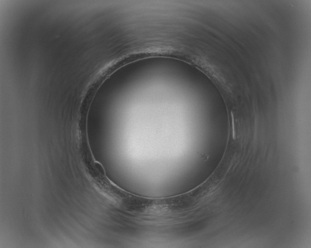 X0000062610252200601040947