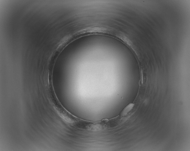 X0000062610253200601040947