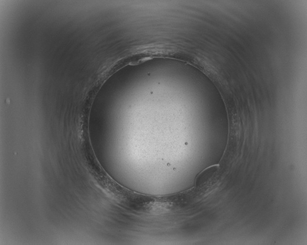 X0000062610255200601040947