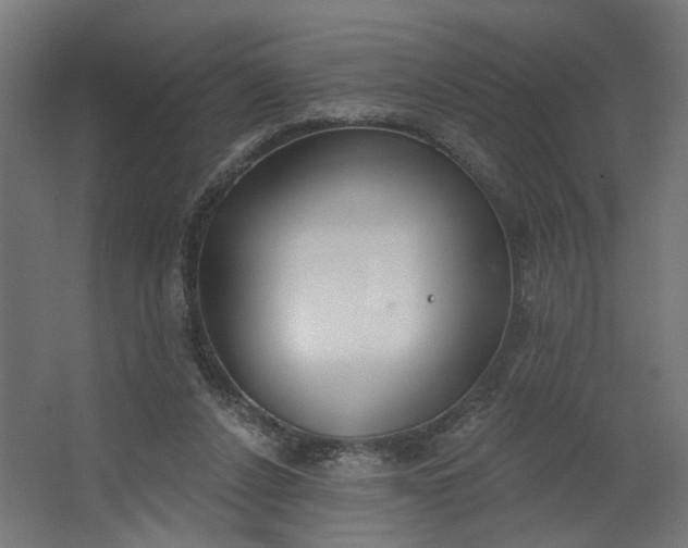 X0000062610256200601040947