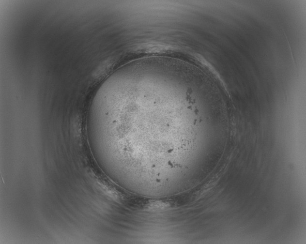 X0000062610257200601040947