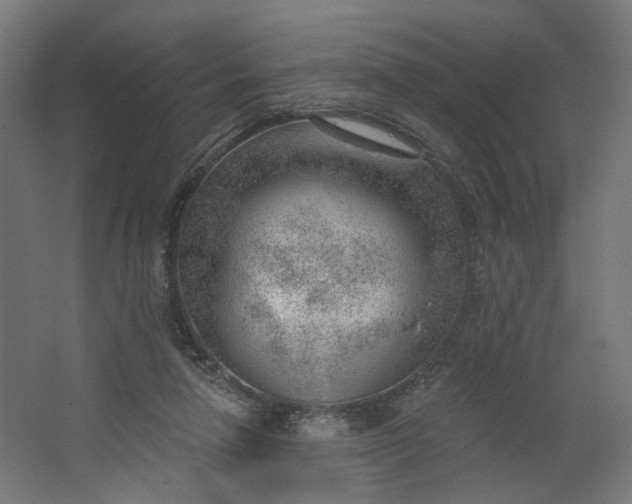 X0000062610258200601040947