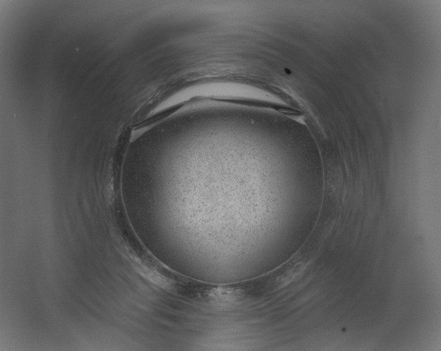 X0000062610261200601040947