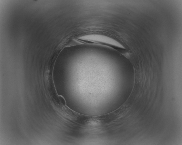 X0000062610263200601040947