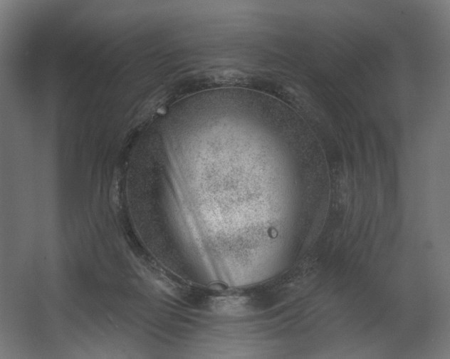 X0000062610266200601040947