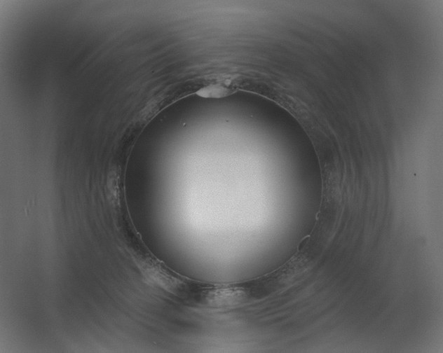 X0000062610274200601040947