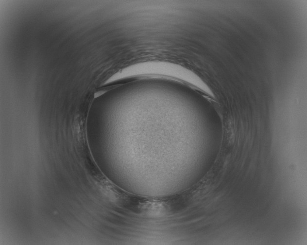 X0000062610276200601040947