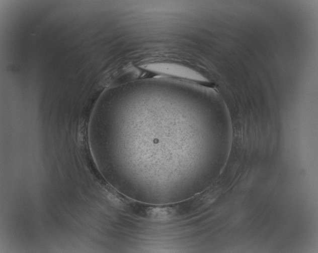 X0000062610277200601040947