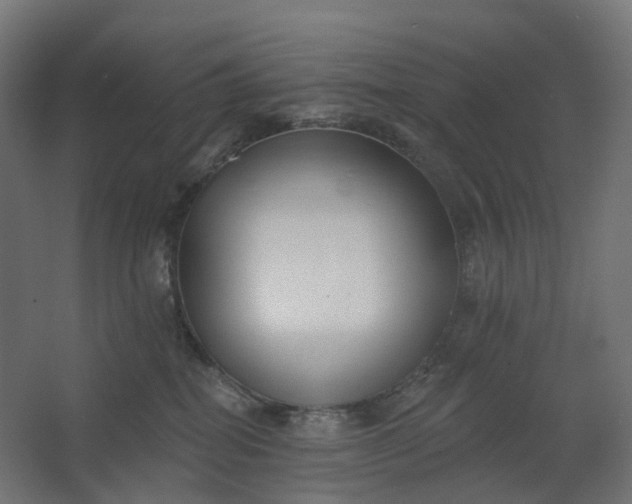 X0000062610282200601040947