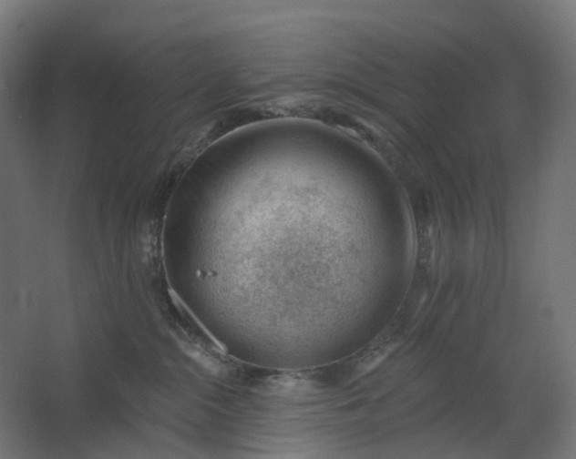 X0000062610284200601040947