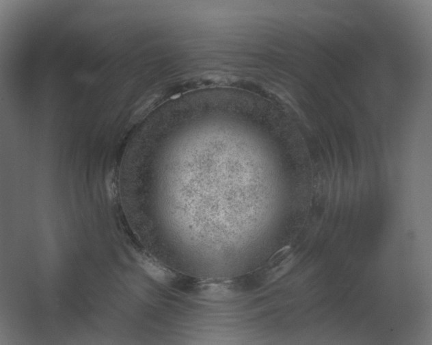 X0000062610285200601040947