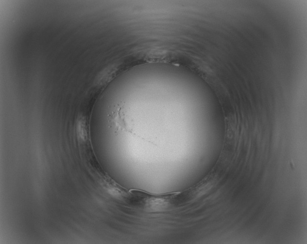 X0000062610287200601040947