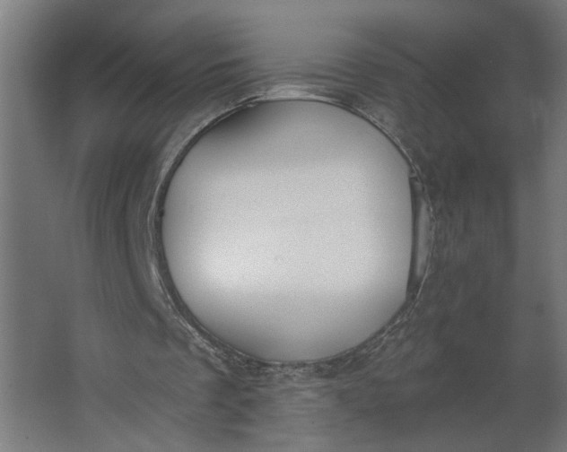 X0000062610289200601040946