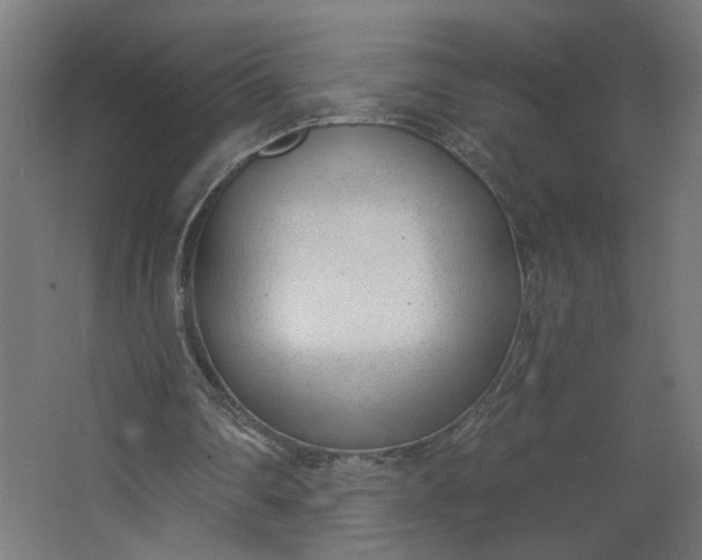 X0000062610290200601040946