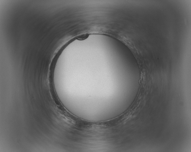 X0000062610292200601040946