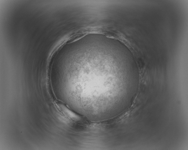 X0000062610293200601040946